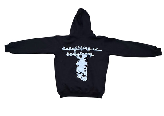Everything is temporary hoodie